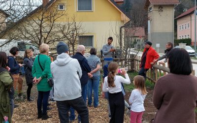 POŠ J_Delavnica obrezovanja sadnih dreves in jagodičevja